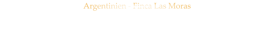 Argentinien - Finca Las Moras LOS INTOCABLES BLACK MALBEC  -  trocken 42,80