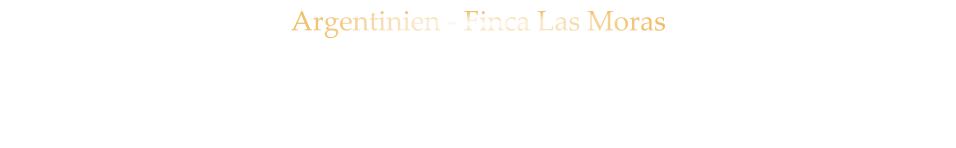 Argentinien - Finca Las Moras PAZ MALBEC  -   trocken 41,80