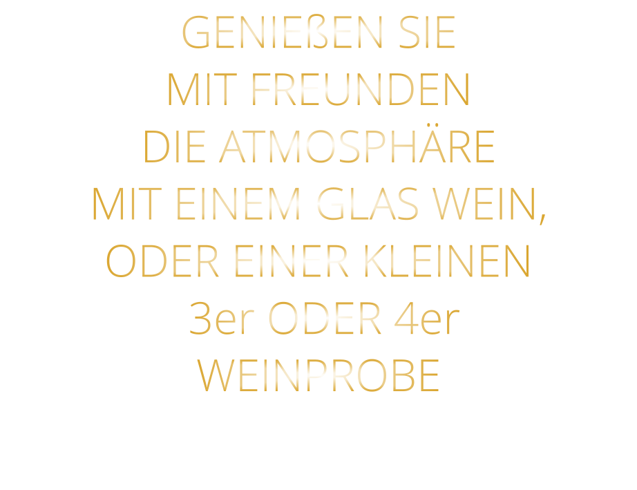 GENIEßEN SIE MIT FREUNDEN DIE ATMOSPHÄRE MIT EINEM GLAS WEIN, ODER EINER KLEINEN  3er ODER 4er WEINPROBE