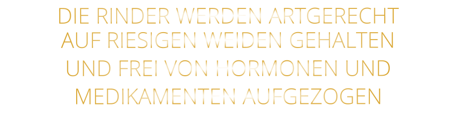 DIE RINDER WERDEN ARTGERECHT AUF RIESIGEN WEIDEN GEHALTEN UND FREI VON HORMONEN UND MEDIKAMENTEN AUFGEZOGEN
