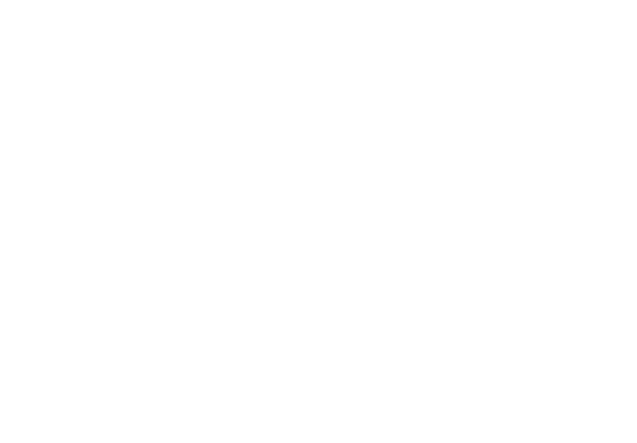 DIE KLASSIFIZIERUNG PRIME ERREICHEN NUR 2-3% ALLER RINDER  DIE STEAKS ZEICHNEN SICH DURCH EINE FEINE MARMORIERUNG AUS, WAS SIE BESONDERS ZART MACHT.  DIE RINDER WERDEN ARTGERECHT AUF RIESIGEN WEIDEN GEHALTEN UND FREI VON HORMONEN UND MEDIKAMENTEN AUFGEZOGEN