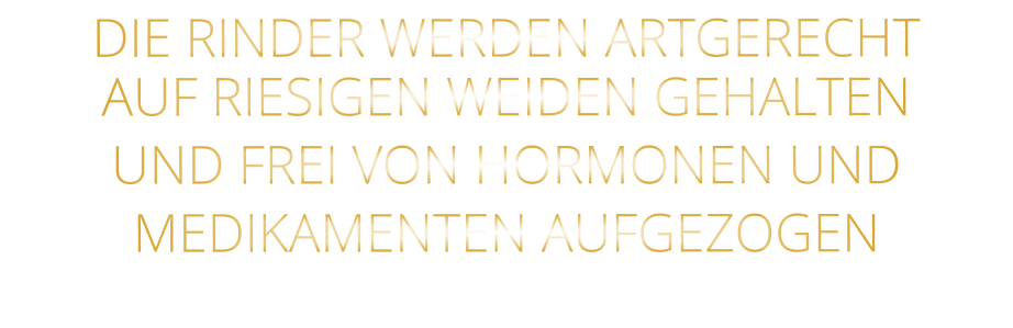DIE RINDER WERDEN ARTGERECHT AUF RIESIGEN WEIDEN GEHALTEN UND FREI VON HORMONEN UND MEDIKAMENTEN AUFGEZOGEN
