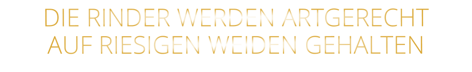 DIE RINDER WERDEN ARTGERECHT AUF RIESIGEN WEIDEN GEHALTEN