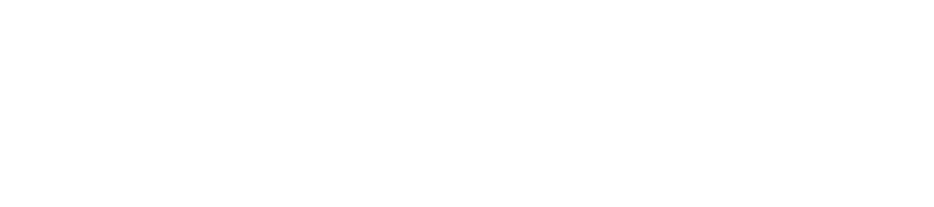 VERGESSEN SIE, WAS SIE BISHER        AN RIBS GEGESSEN HABEN!