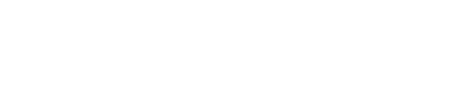 VERGESSEN SIE, WAS SIE BISHER        AN RIBS GEGESSEN HABEN!